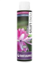 Reeflowers Pond Lotus - All Inclusive 500 Ml