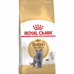 Royal Canin British Shorthair Kedi Maması 2 Kg.