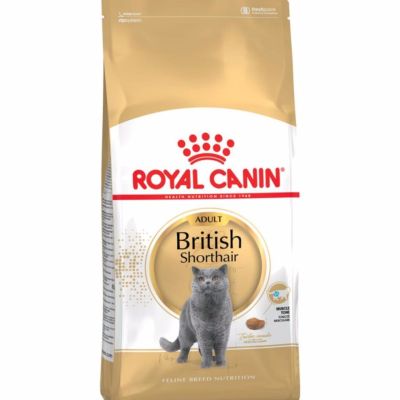 Royal Canin British Shorthair Kedi Maması 2 Kg. - 1