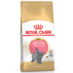 Royal Canin British Shorthair Kitten 2 Kg.