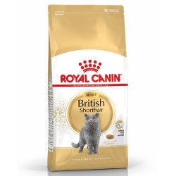 Royal Canin British Shorthair Yetişkin Kedi Maması 10 Kg.
