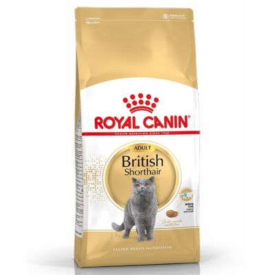 Royal Canin British Shorthair Yetişkin Kedi Maması 10 Kg. - 1