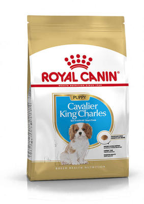 Royal Canin Cavalier King Charles Junior Yavru Köpek Maması 1,5 Kg. - 1
