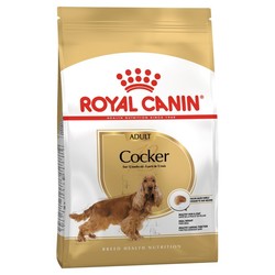 Royal Canin Cocker Irkına Özel Mama 3 Kg.