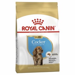 Royal Canin Cocker Junior Yavru Cocker İçin Mama 3 Kg.