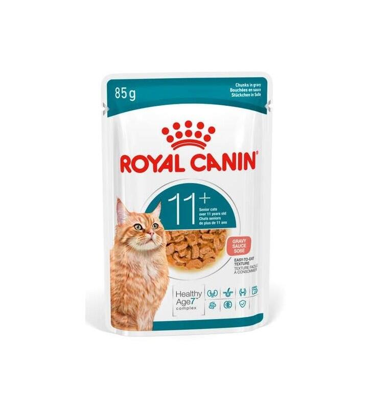 Royal Canin Ageing 11+ Sos İçinde Yaşlı Kedi Konservesi 85gr - 1