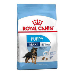 Royal Canin Maxi Puppy Büyük Irk Yavru Köpek Maması 15 Kg.