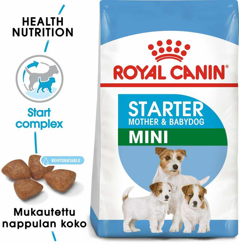 Royal Canin Mini Starter Yavru Kuru Köpek Maması 4 Kg. (1)