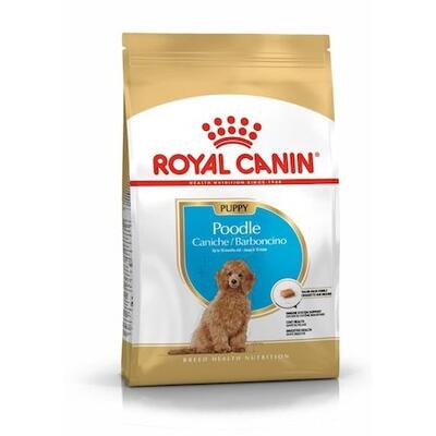 Royal Canin Poodle Puppy Köpek Maması 3 Kg. - 1