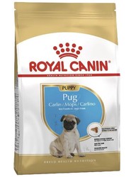Royal Canin Pug Junior Yavru Pug İçin Mama 1.5 Kg.