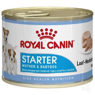 Royal Canin Starter Mousse Yavru Köpek Konservesi 195 Gr. - 1