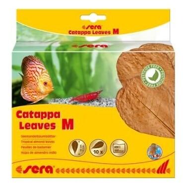 Sera Catappa Yaprağı M 18 Cm (10 Adet) - 1