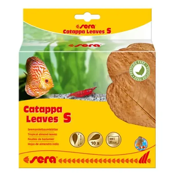 Sera Catappa Yaprağı S 14 Cm (10 Adet) - 1