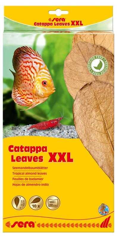 Sera Catappa Yaprağı Xxl 32 Cm (10 Adet) - 1
