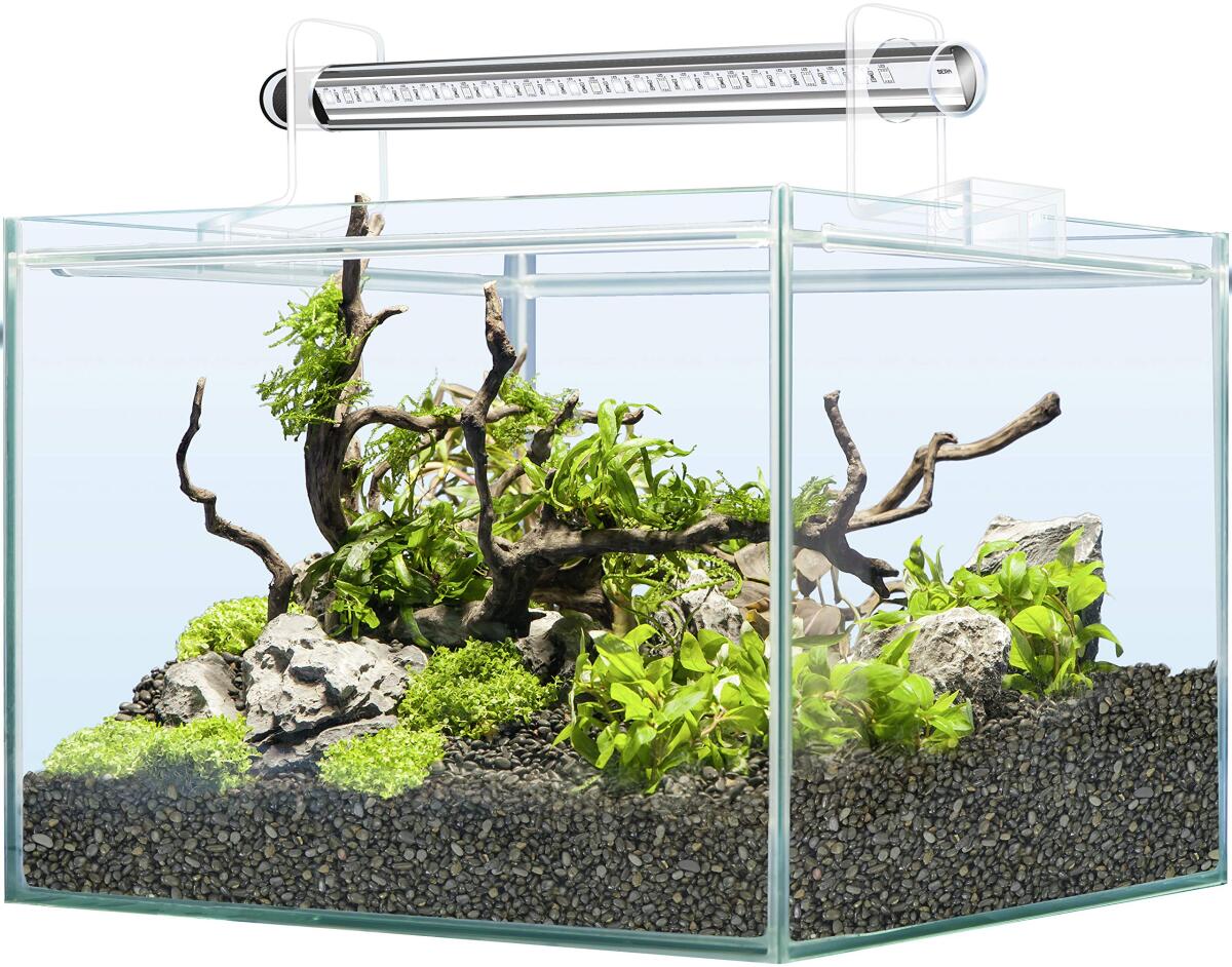 Sera Scaper Cube Akvaryum Seti-48 Litre - 1