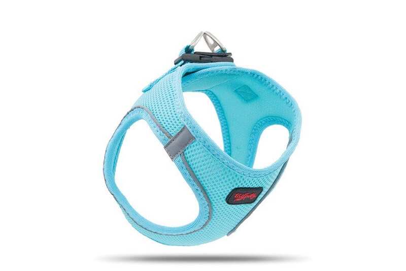 Tailpetz Air Mesh Göğüs Tasması Ocean Medium
