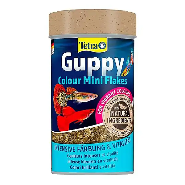 Tetra Guppy Colour Mini Flakes Pul Lepistes Yemi 100ml