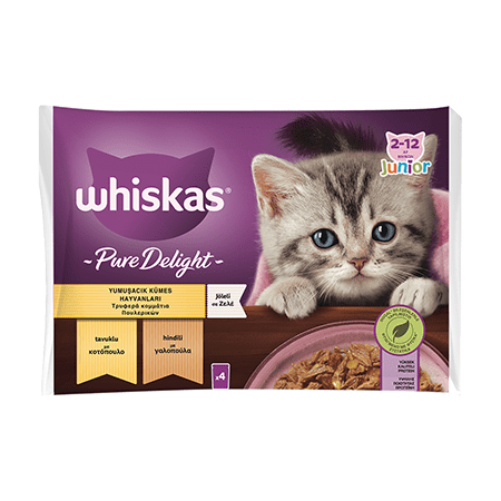 Whiskas Pouch Pure Delight Jöle İçinde Tavuklu ve Hindili Yavru Kedi Konservesi 85gr (4'lü)